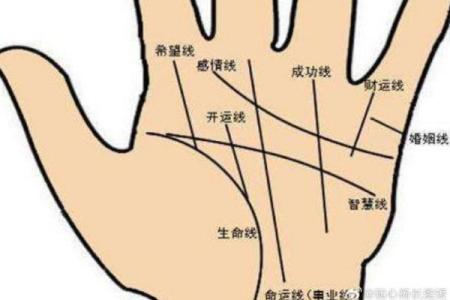 看掌纹算命,揭示女人命运的秘密和玄机!