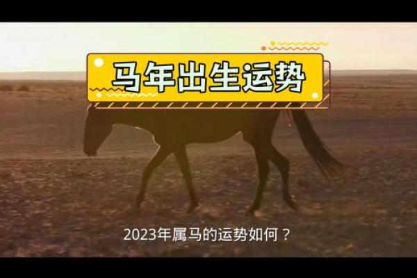马与路旁土命的和谐相生：探索五行相互依存的奥秘