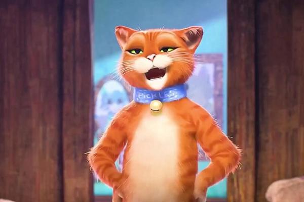 猫的勇敢：当小生命遇险时，它们为何能化身英雄？