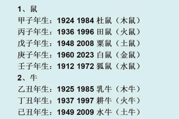 2023年龙年农历十一的命理解读与人生启示