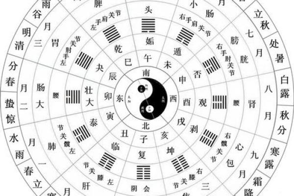 木命与金命，最适合的宠物选择与养护秘诀！