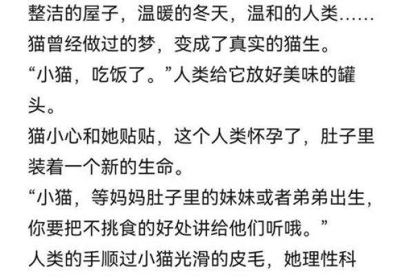 探秘九条命的猫：九条命与猫品种的奇妙传奇