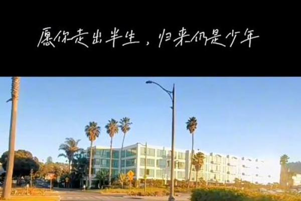 拼了命的不懈追求：一曲励志之歌的心灵震撼