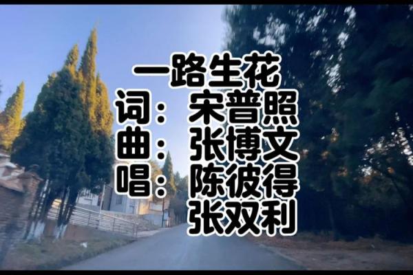 拼了命的不懈追求：一曲励志之歌的心灵震撼