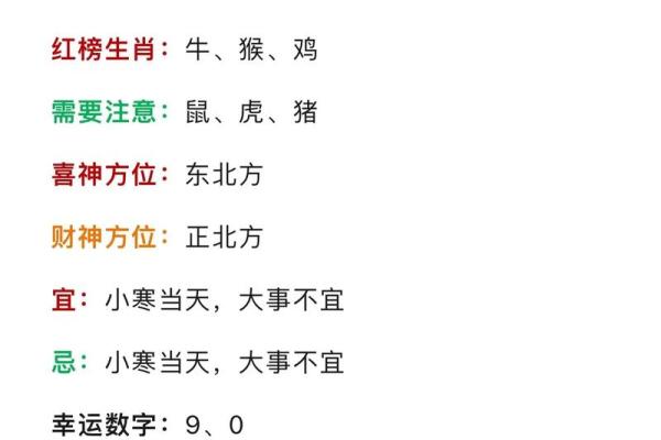 农历六月初九出生的兔年宝宝：命理解析与人生运势探讨