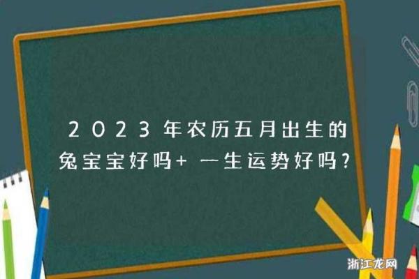 农历六月初九出生的兔年宝宝：命理解析与人生运势探讨