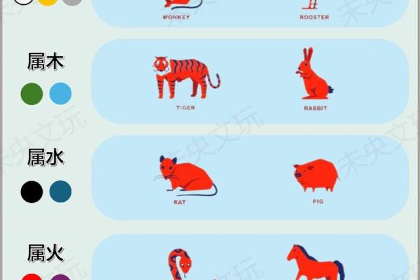 揭示你的命格：五行属相与人生运势的关系