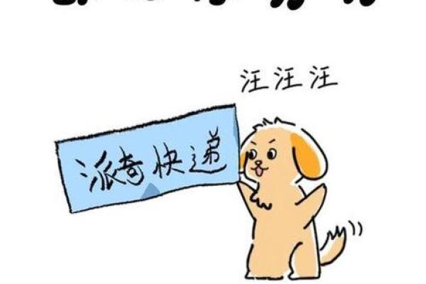 男人不同时期的拼搏与追求：从青涩到成熟的奋斗之路