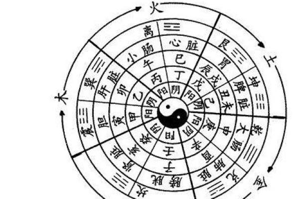 揭秘农历五朵金花的命理特征与人生契机