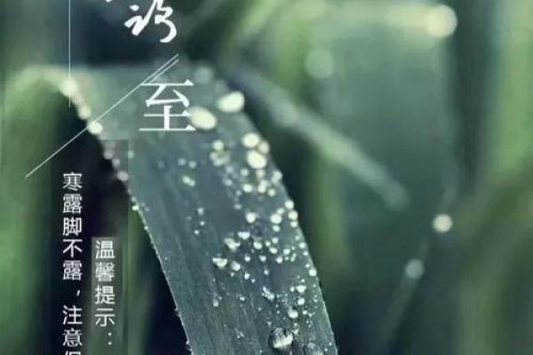 农历九月初三出生的人格特征与命运解析