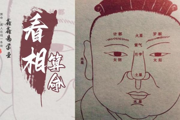 命理多金女人忌讳什么属相？揭示潜在影响与避免之道！