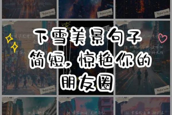命里披星戴月，人生旅途如梦似幻