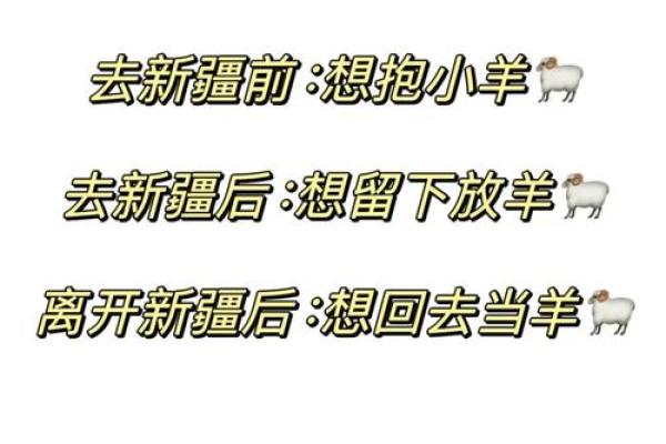 命里披星戴月，人生旅途如梦似幻