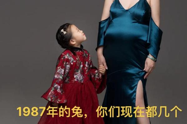 2024年兔年出生的人命运解析：性格与运势全揭晓