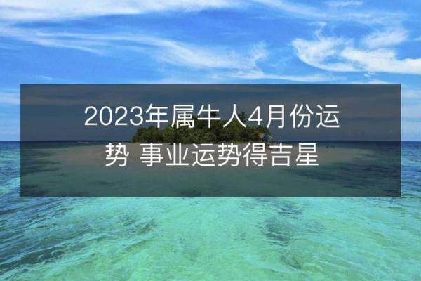 牛年出生的人命运影响及其优劣势分析