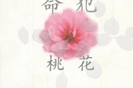 命里犯桃花:探寻命理与爱情的微妙关系