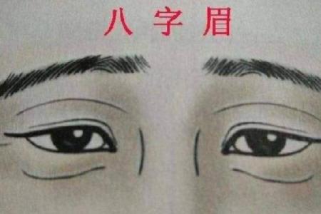 男性眉毛弯曲的命理解析:你知道它代表了什么吗?