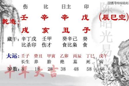 伤官双甲：命格中的独特象征与深层解析