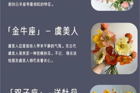不同命格的女人：揭示命运背后的秘密与魅力