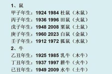 2023年龙年农历十一的命理解读与人生启示