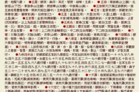 农历三月六五日出生的人命理解析及性格特点