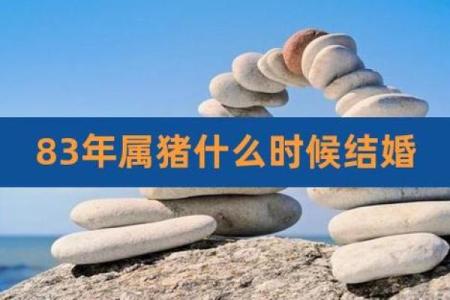 男孩属猪蛇晒日,命运揭秘与个人发展之路
