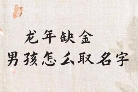适合命里缺金男孩的名字推荐与解析,助你选择幸福人生之路!