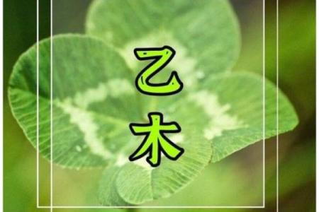命局喜木水，适合发展的行业与方向探讨