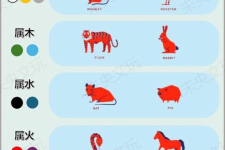 揭示你的命格：五行属相与人生运势的关系