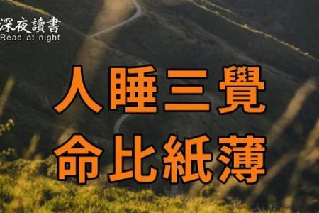命里带纸:解读生活中纸的象征与意义