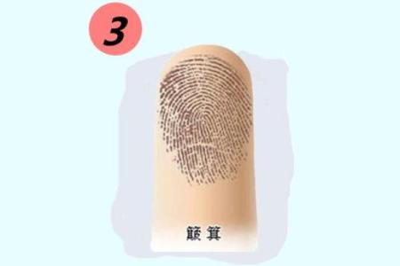探索女人手中斗的命运与人生的奇妙篇章