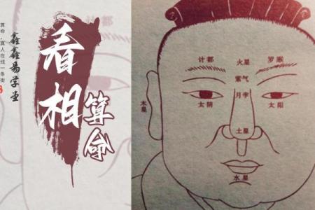 命理多金女人忌讳什么属相?揭示潜在影响与避免之道!
