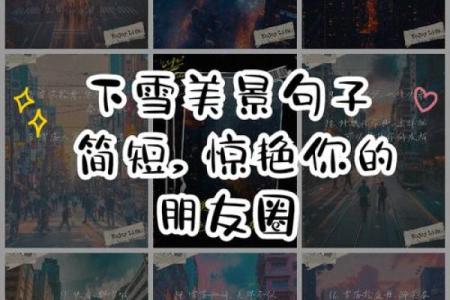 命里披星戴月，人生旅途如梦似幻