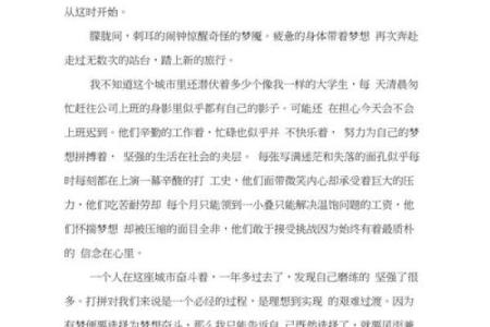 努力用中文书写未来，追求梦想的旅程
