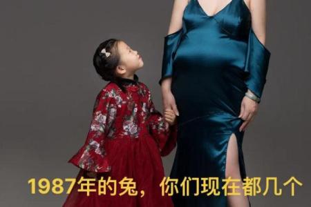2024年兔年出生的人命运解析：性格与运势全揭晓