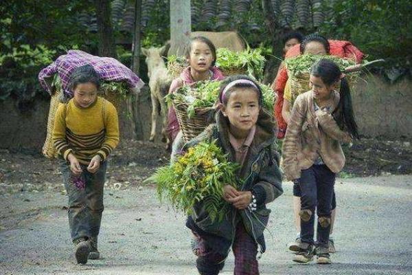 路旁土命羊的孩子命运：深藏的秘密与无限可能
