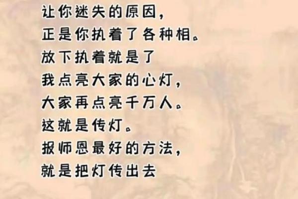 没有孩子的命与佛家的命：探索生命的意义与价值