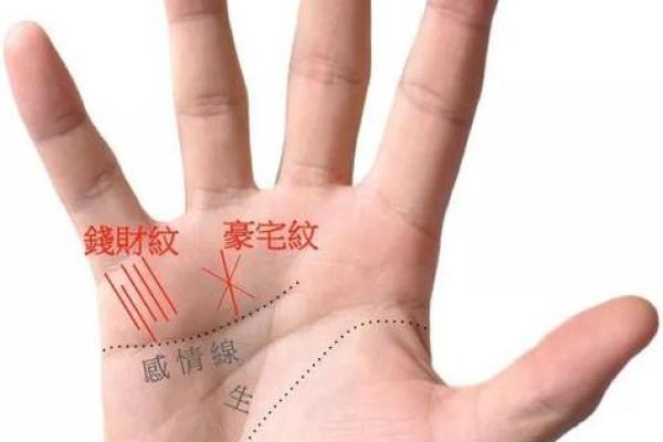 女生手相四条线的秘密：解读命运与性格的奥秘