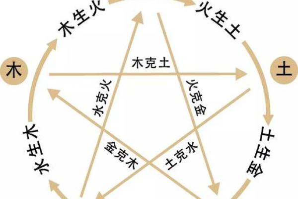 六十岁鼠年生人的命运：细数五行之深意与人生启示