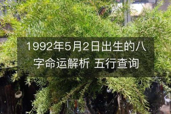 六十岁鼠年生人的命运：细数五行之深意与人生启示
