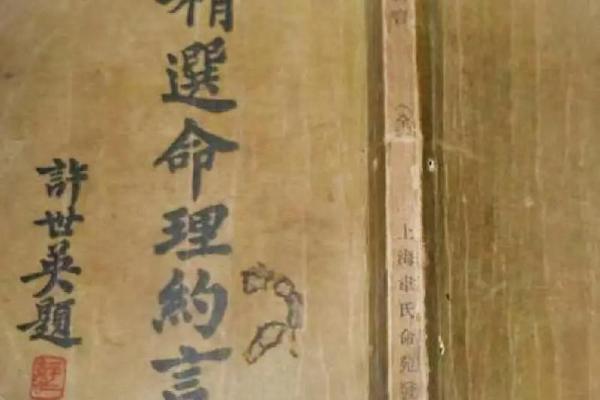 女命晚年食神运：智慧与人生的丰盈之路