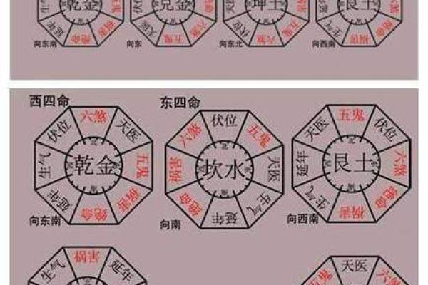 探秘命理学：解读离命与东四命的深层含义