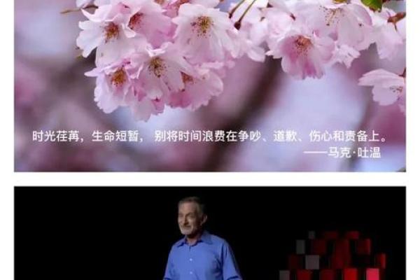 震命卦解析：了解震命的深意与人生启示
