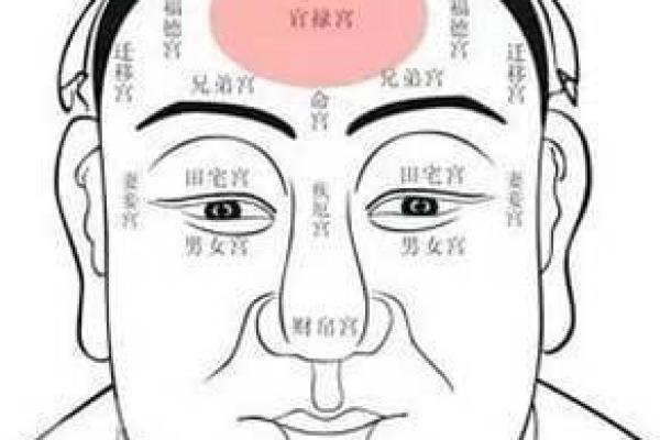 马年二月二出生的人命运剖析：神秘命理的精彩人生