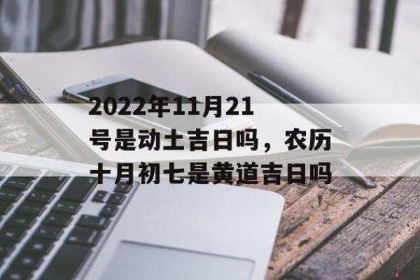 探索命理中的“不动土”之秘，解读其深刻含义与人生启示