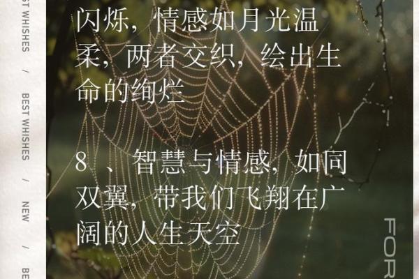 女命勾陈之解：神秘命理与人生智慧的交织