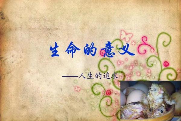 女孩拿命珍惜的表现：理解生命的意义与价值