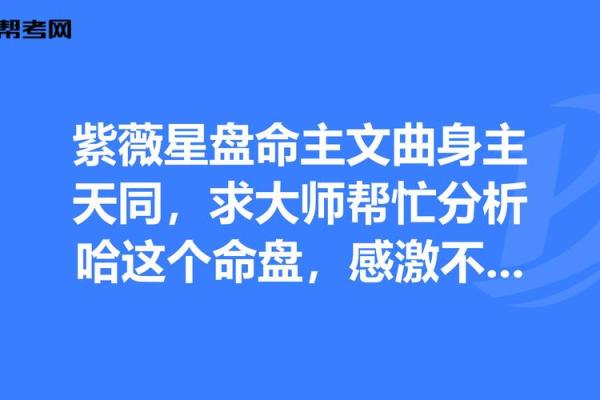 探索命盘中的命主：揭示内心世界与人生航向的奥秘