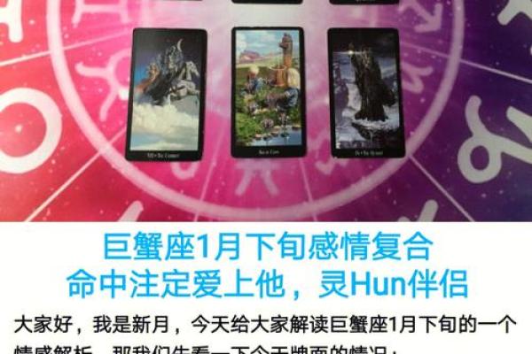 女命己土配什么男命：寻找命中注定的伴侣之路