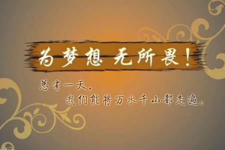 拼了命的小女孩:坚韧与梦想的传奇故事